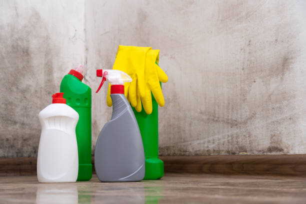 Why You Should Choose Our Mold Remediation Services in Crosby, TX